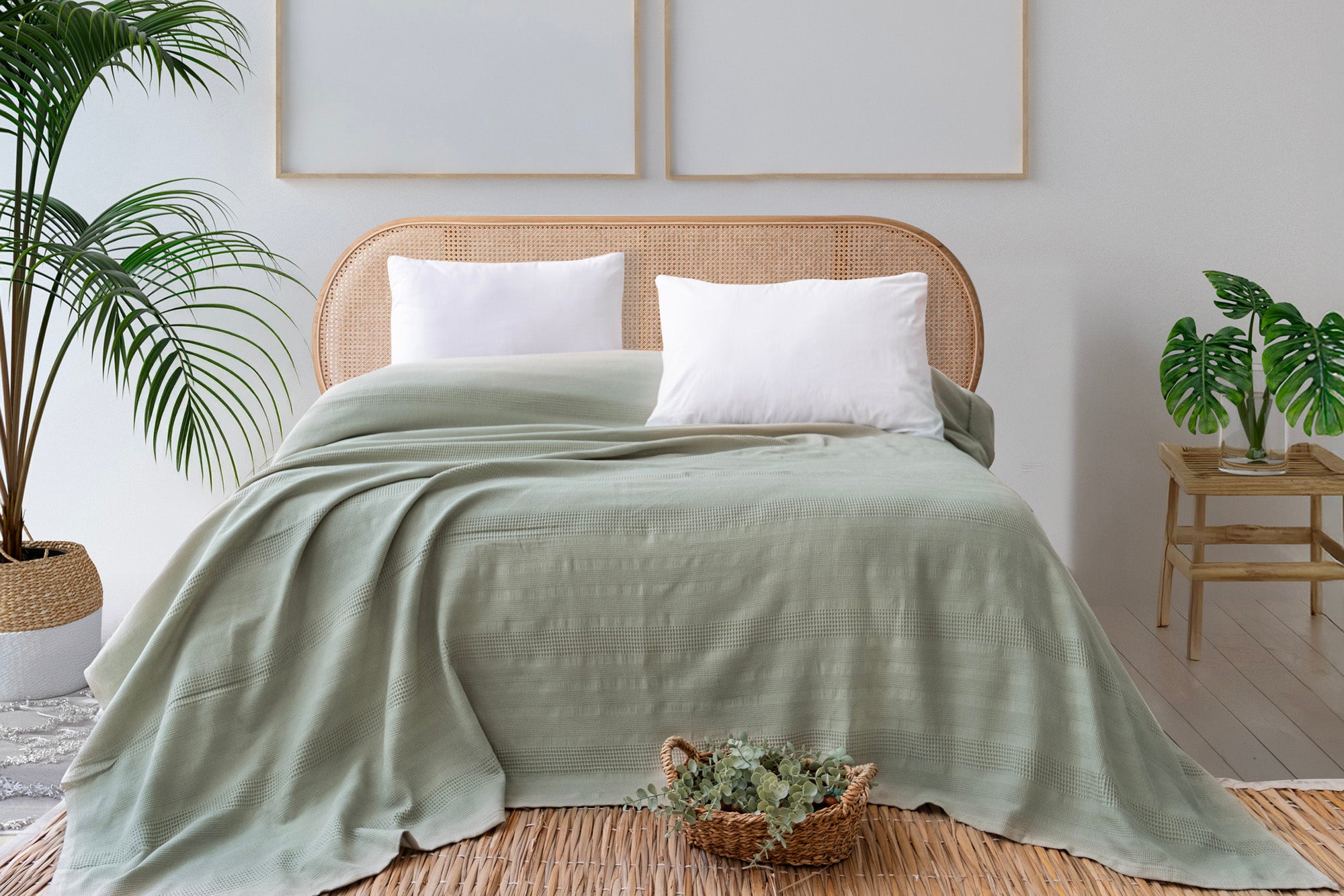 COLORS ADAÇAYI PİKE