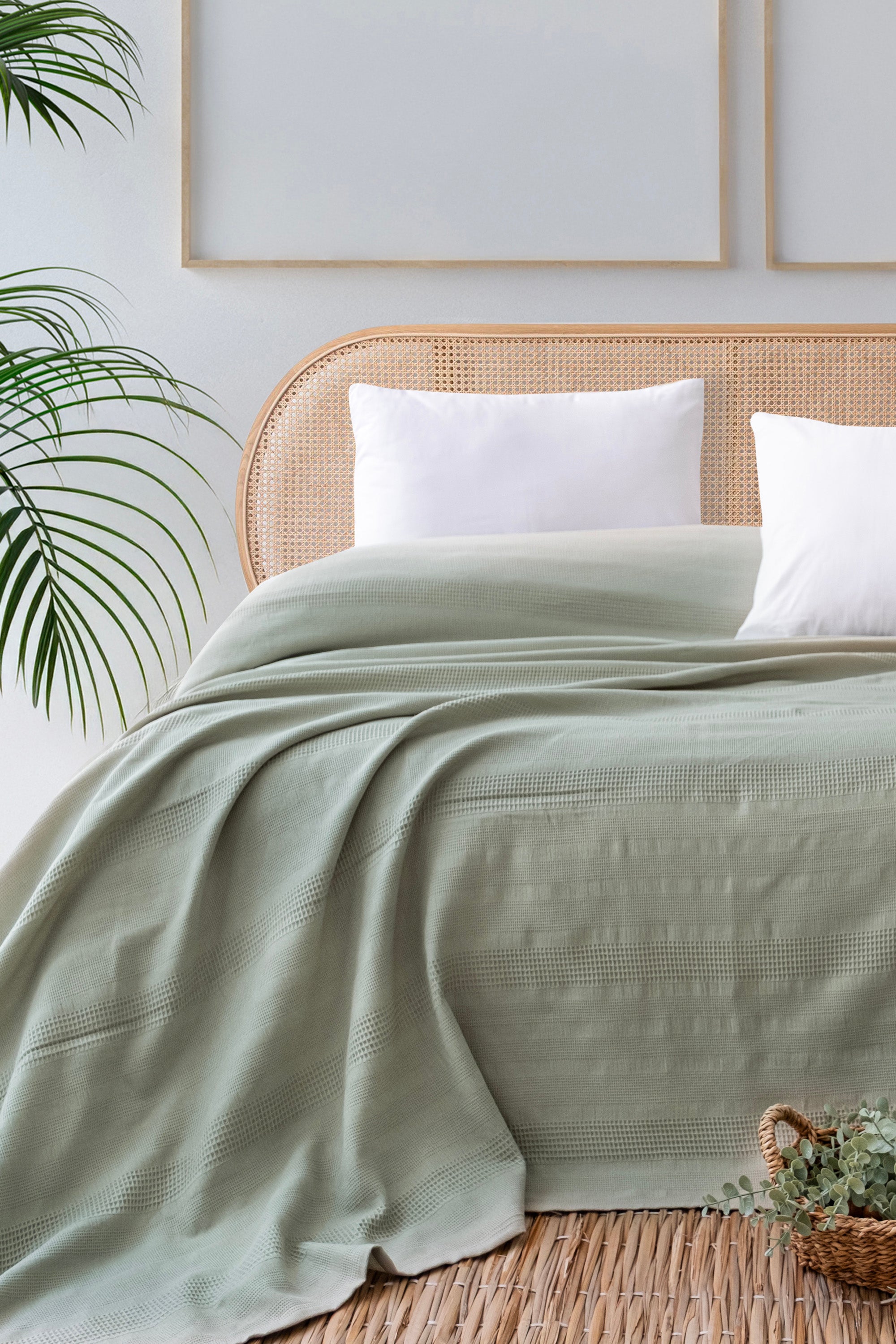 COLORS ADAÇAYI PİKE