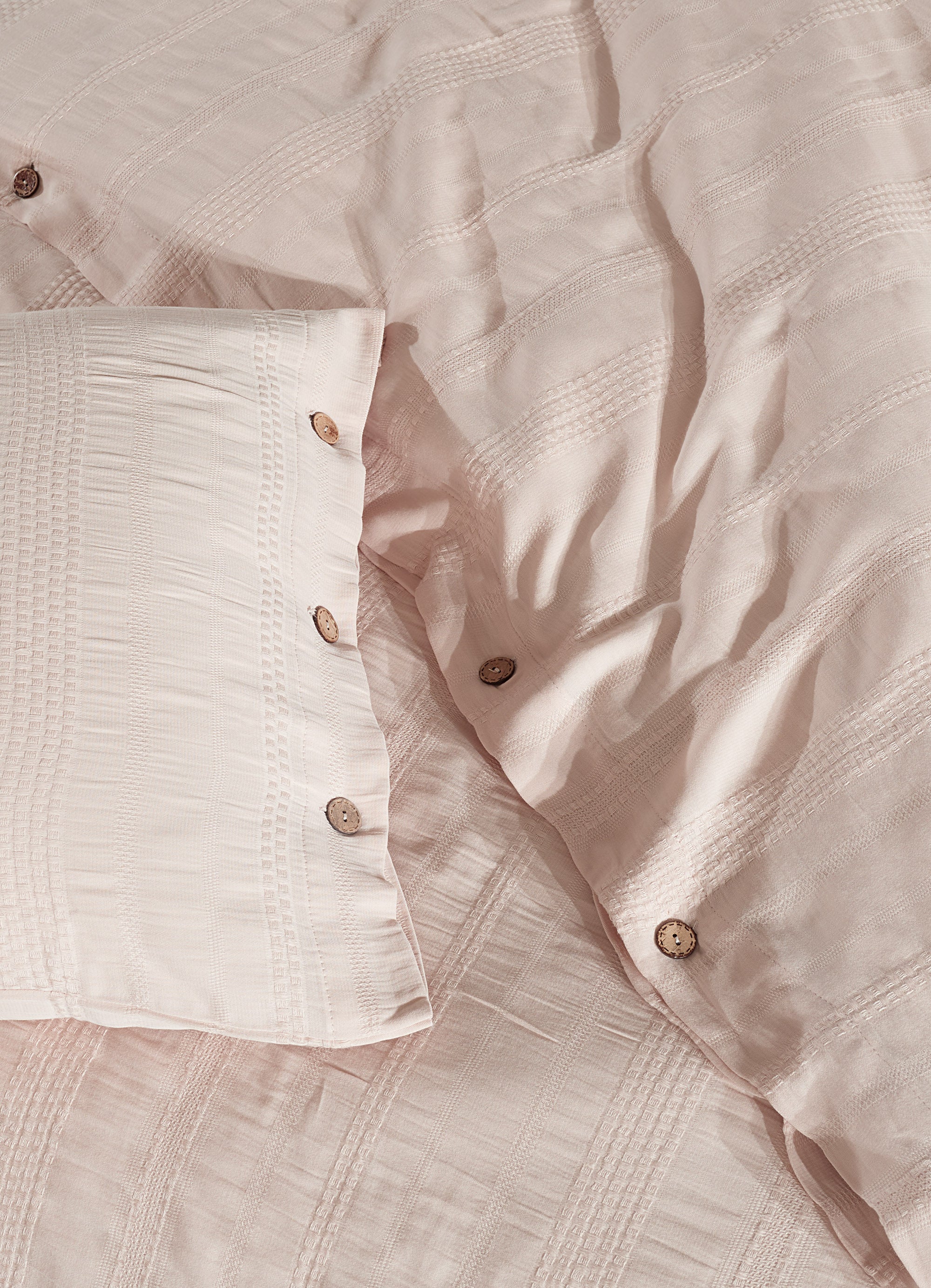 FELIX LATTE NEVRESİM TAKIMI